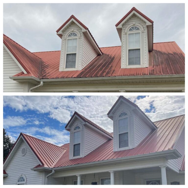 before and after roof wash of white home in front of home