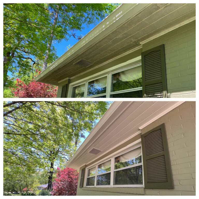 Soft Washing (Soffits:Gutters)