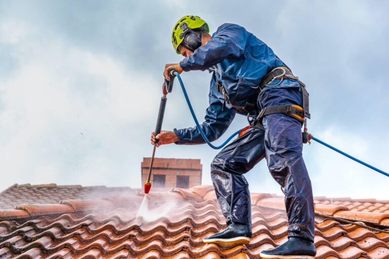 Commercial Roof Cleaning