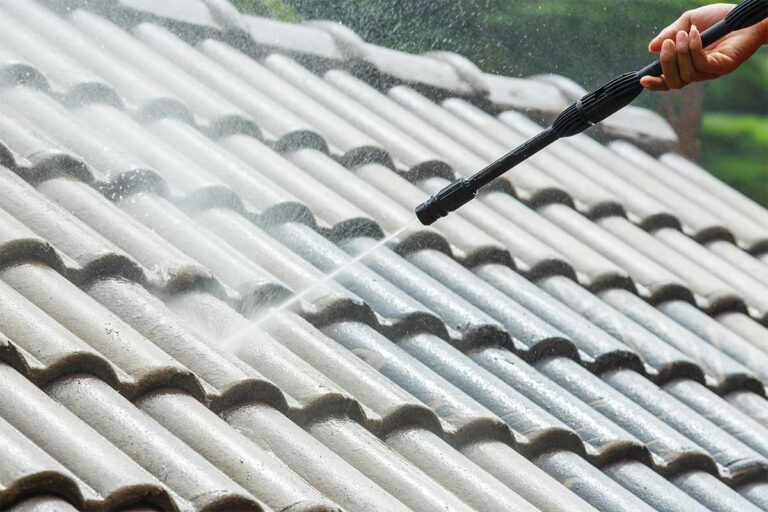 Roof Washing Service