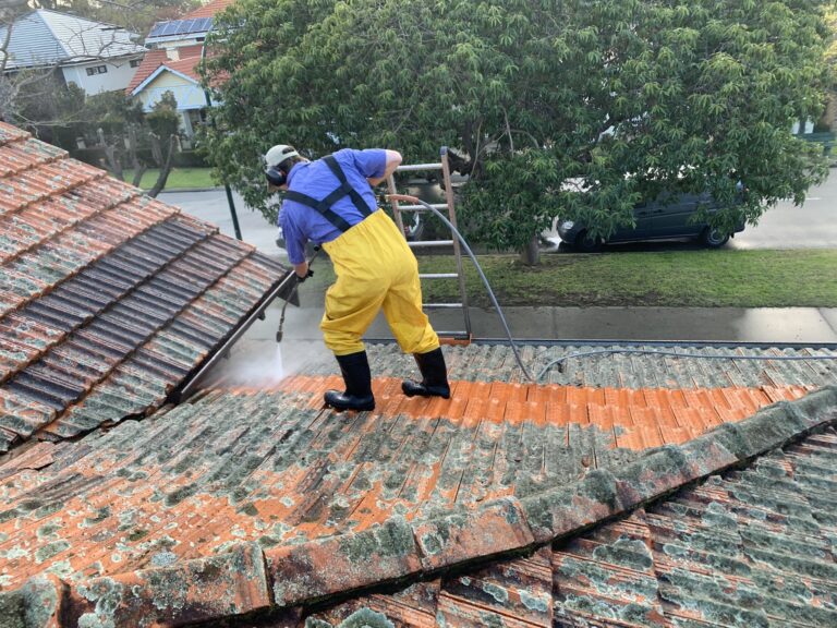 roof moss cleaning