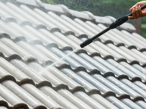 Roof Washing Service